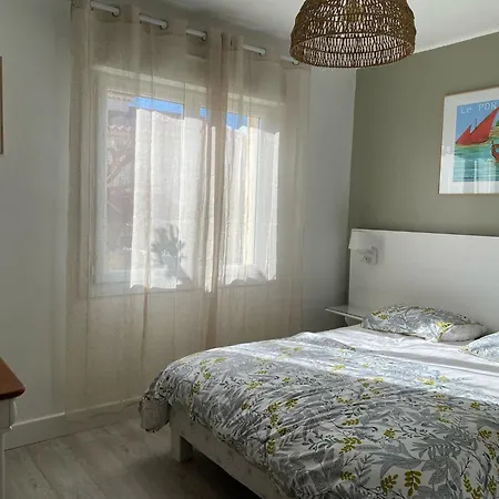 Appartement T3 Rez De Jardin Centre