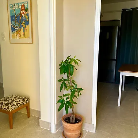 T3 Rez De Jardin Centre